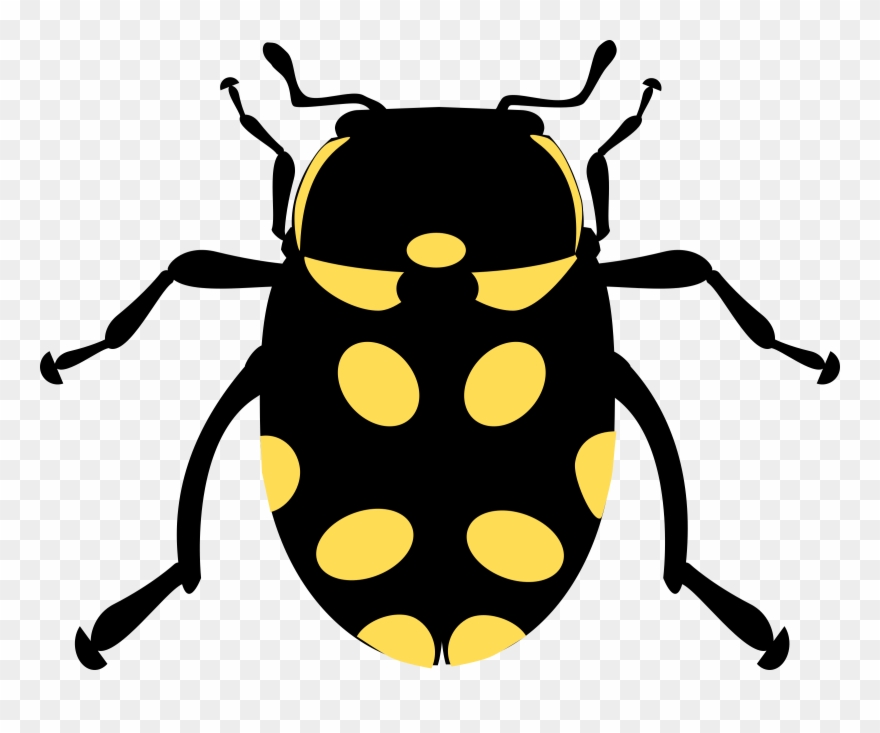 Ladybird Beetle Computer Icons Drawing Line Art - Eriopis Canrash Clipart