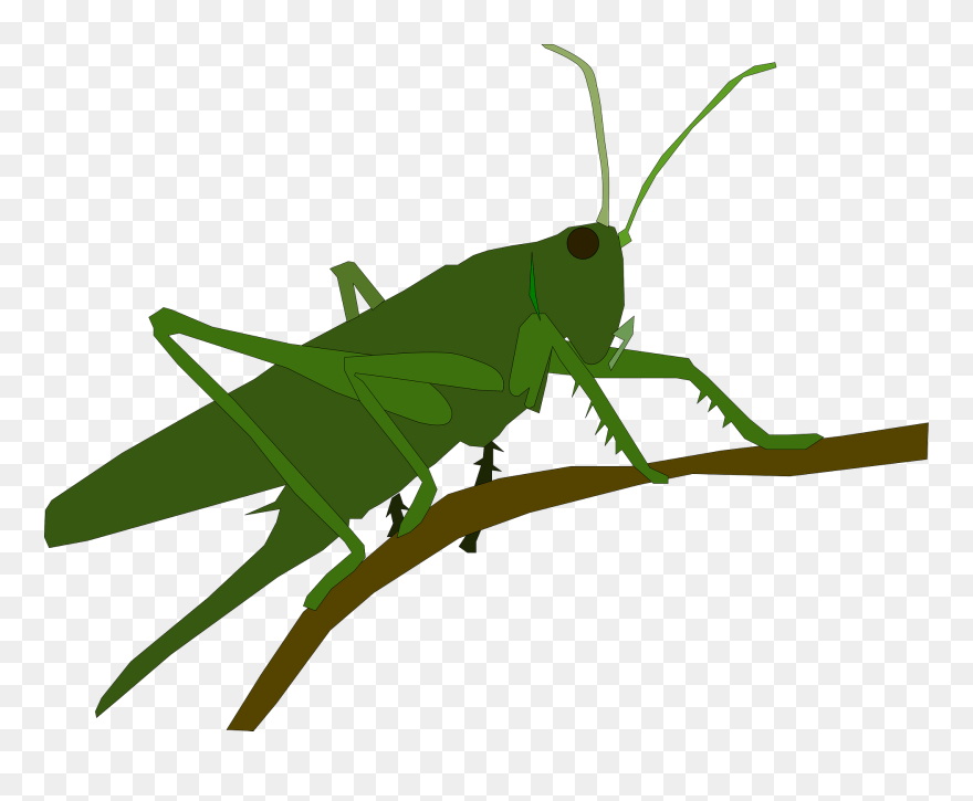 Grasshopper - Grasshopper Cross Stitch Pattern Clipart