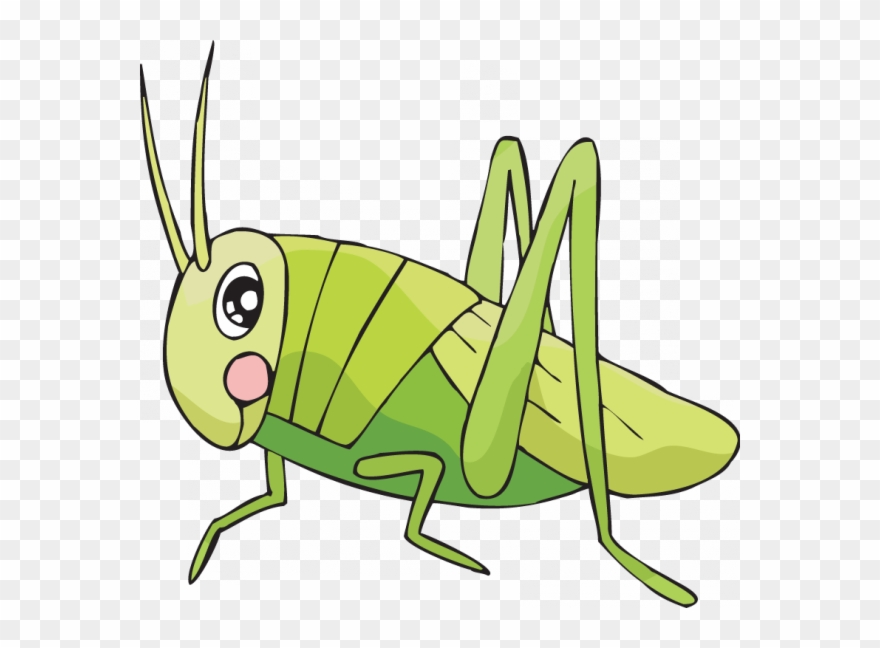 Easy To Draw Cricket Clipart Drawing Insect Clip Art - Cricket Insect Drawing - Png Download