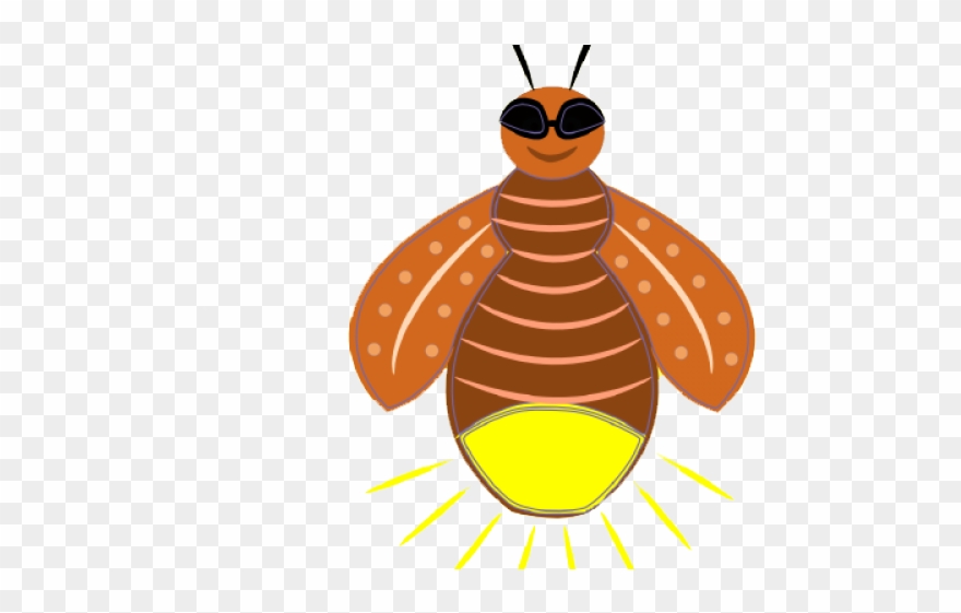 Firefly Clipart Lightning Bug - Portable Network Graphics - Png Download