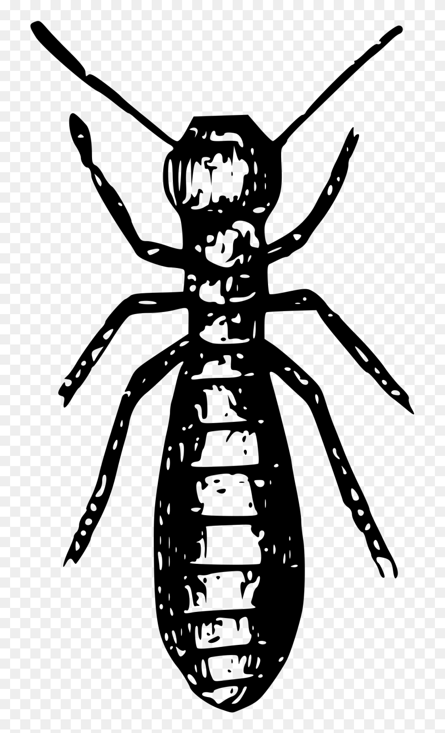 Social Insects Ant Termite Pest - Termite Clipart