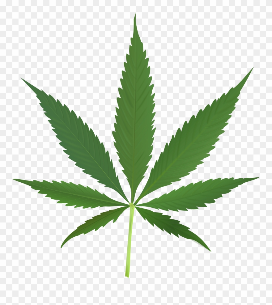 Cannabis Leaf Clipart