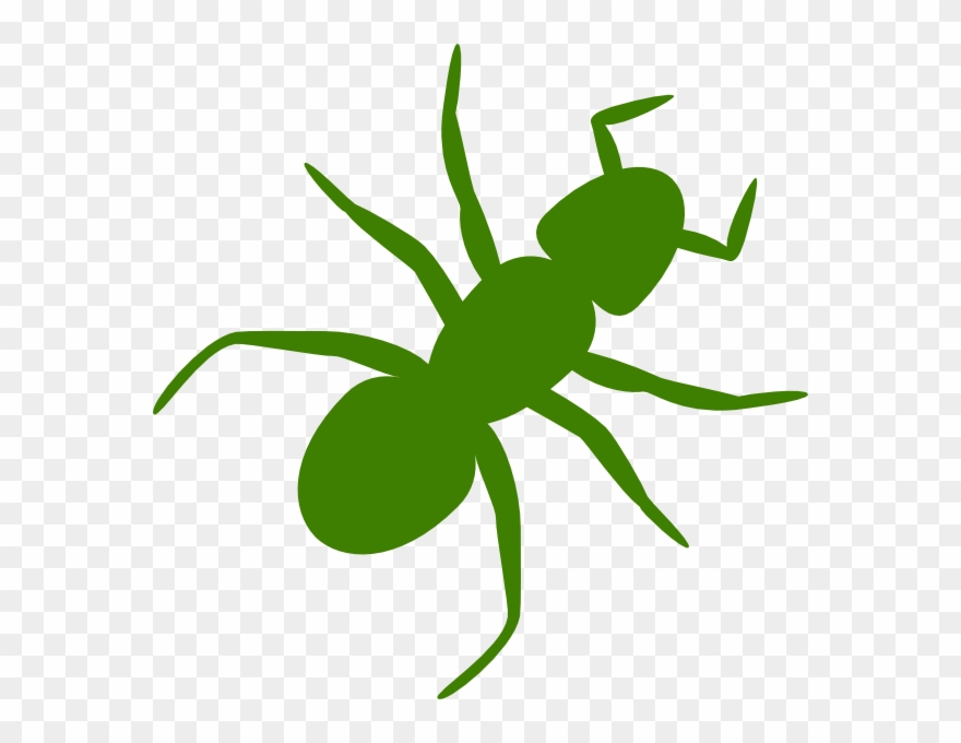 Ant Clip Art - Png Download
