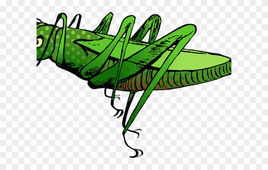 Cartoon Clipart