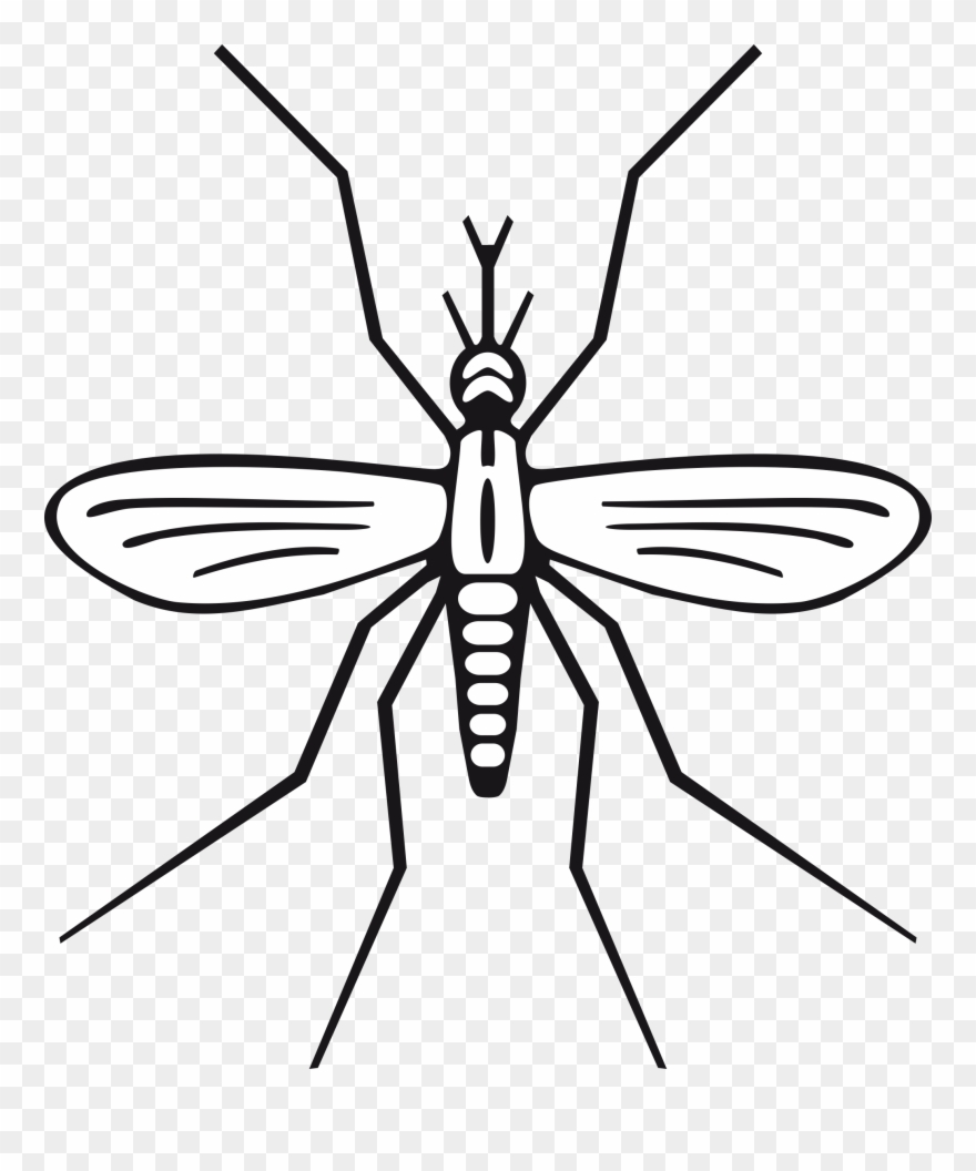 Mosquito Clip Art 2 Clipartbarn - Mosquito Clipart Black And White - Png Download