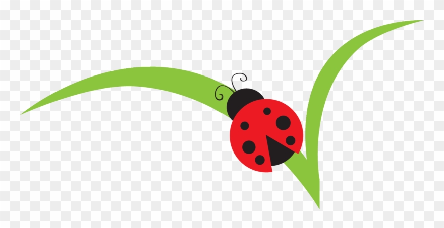 Lady Beetle Clipart Cute - Miraculous: Tales Of Ladybug & Cat Noir - Png Download