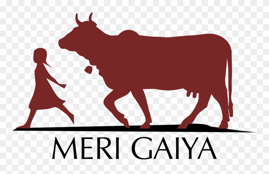 Availability - Png Of Desi Cow Clipart