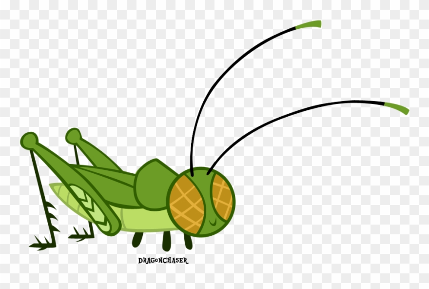 Animal Artist Dragonchaser Artistdragonchaser May The - Insect Clipart