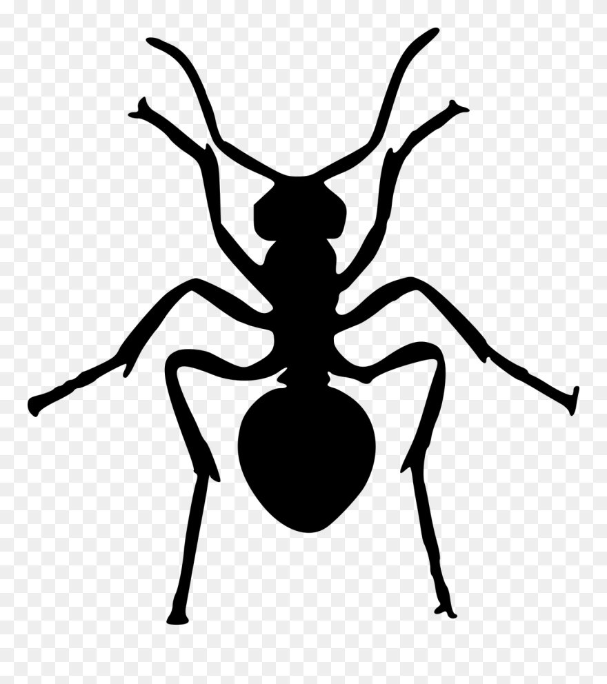 Ant Insect Art Silhouette Drawing - Ant Silhouette Clipart