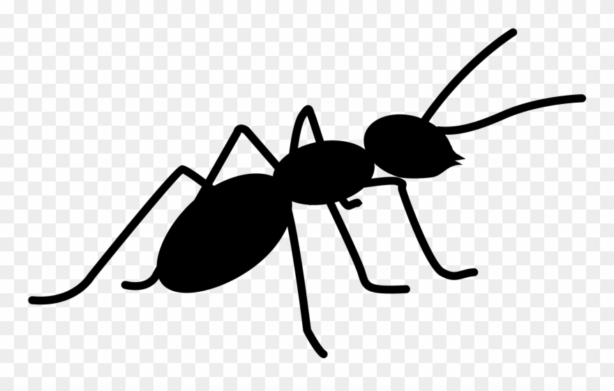 Vector Ant Svg - Ants Png Clipart