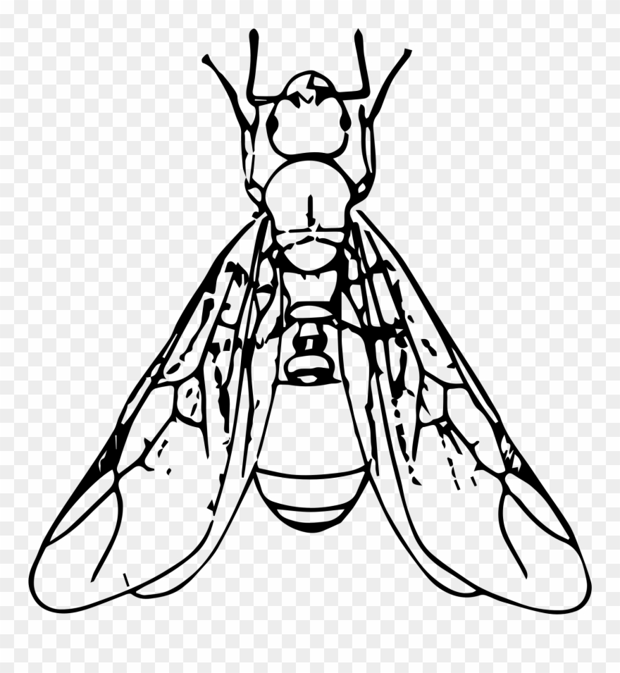 Ant Black And White Clipart Winged Ant - Ant With Wings Clipart Black And White - Png Download