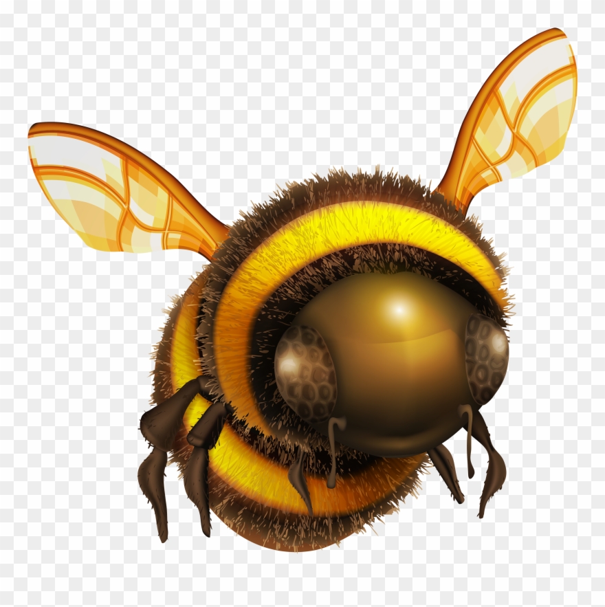 Bee Png Clip Art Best Web Transparent Png
