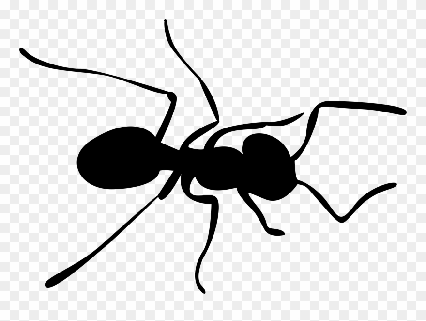 Ants - Ants Clip Art - Png Download