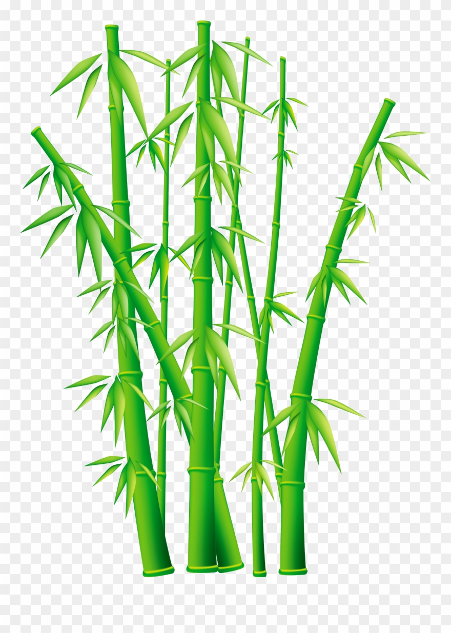 Svg Black And White Grass Free For Download - Transparent Background Bamboo Clipart - Png Download