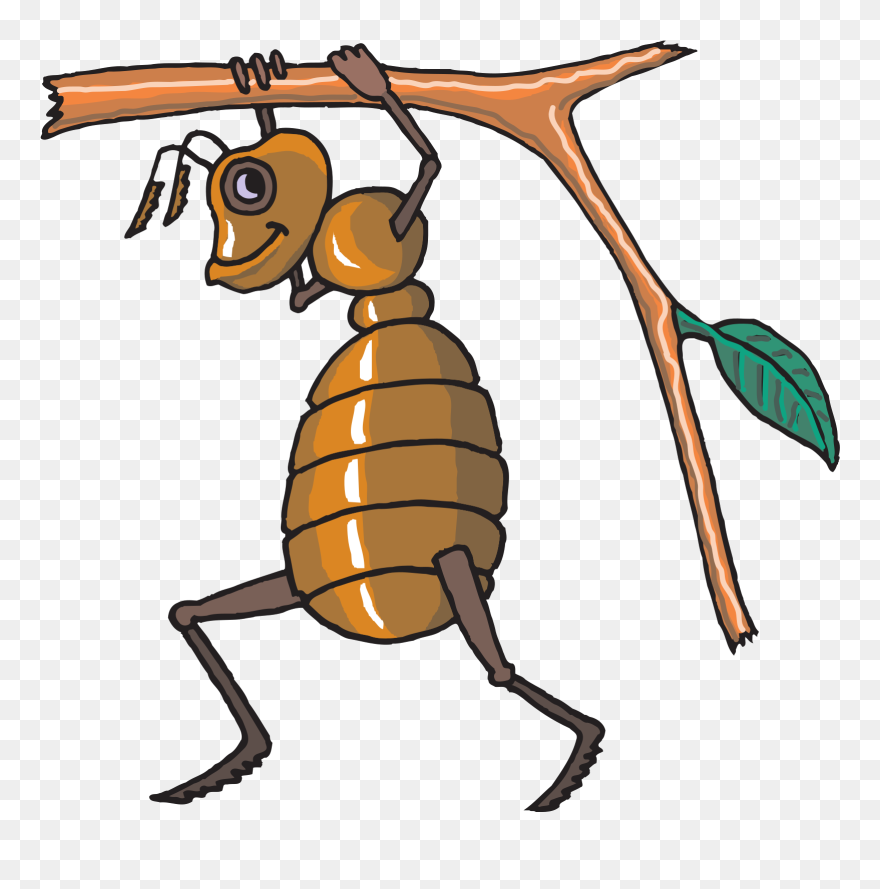 All People Strive To Take Control Of Their Lives - Hard Working Ant Clip Art - Png Download