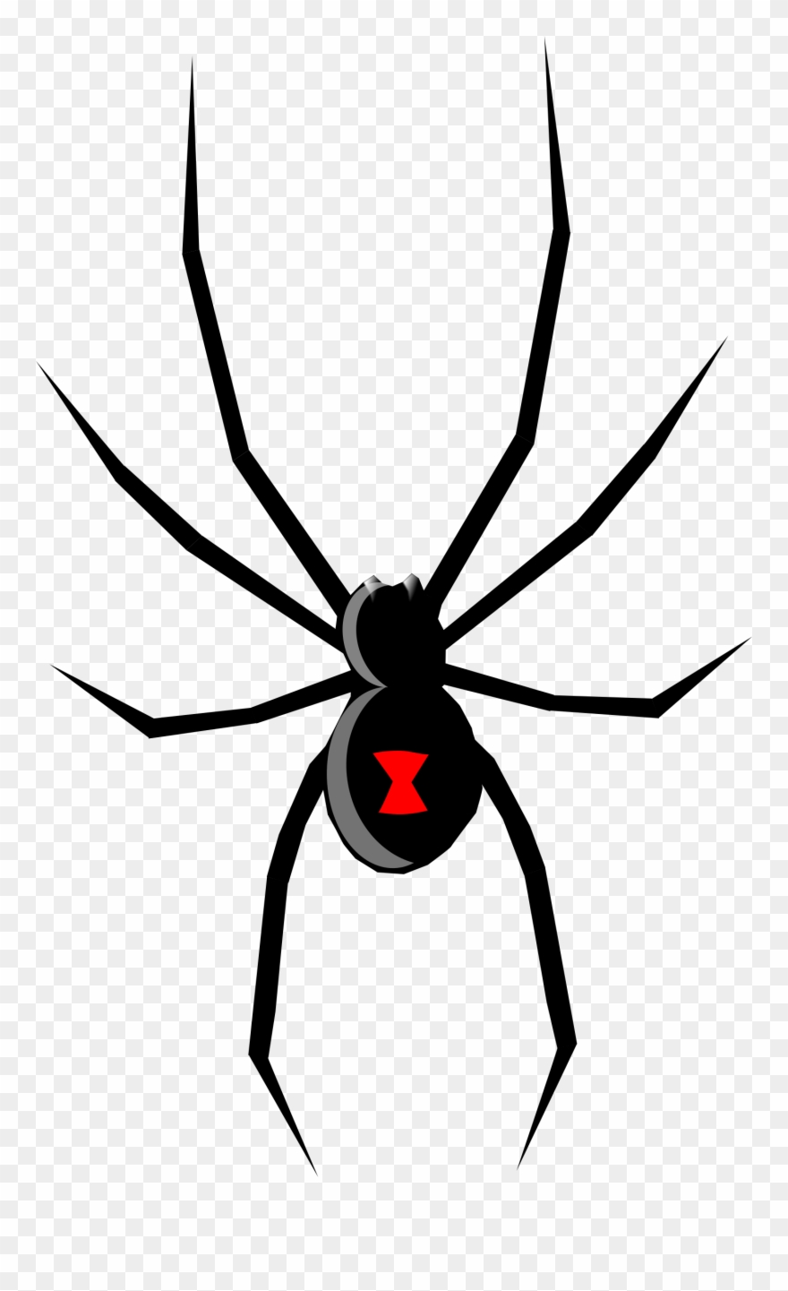 Spider Western Black Widow Southern Black Widow Drawing - Black Widow Spider Svg Clipart