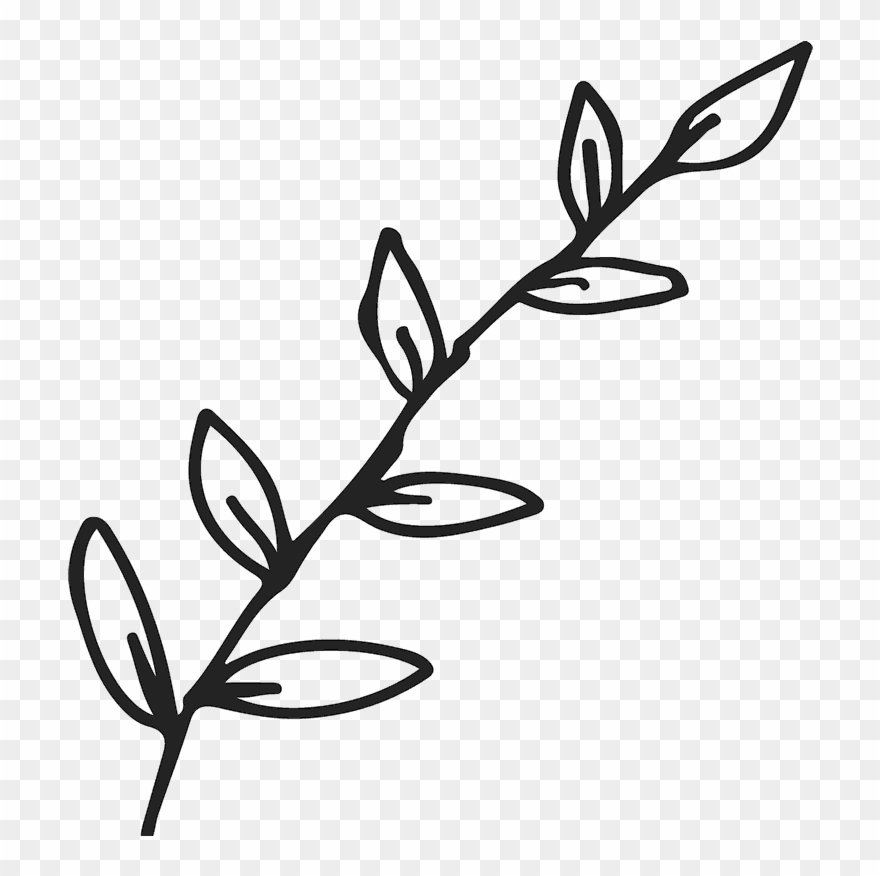 Jpg Black And White Stock Branch Transparent Outline - Black Leaves Outline Transparent Clipart