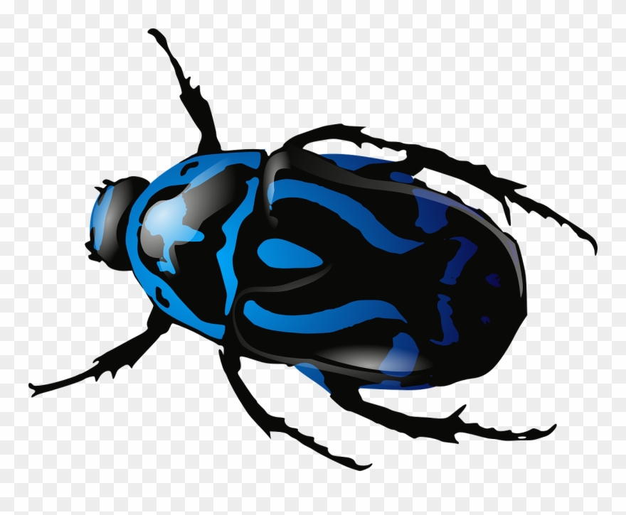Beetles Clipart Blue Beetle - Png Download