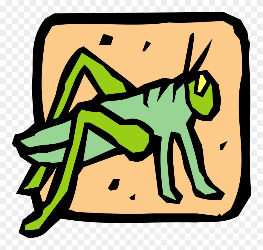 Insect 39 Free Vector / 4vector - Caelifera Clipart