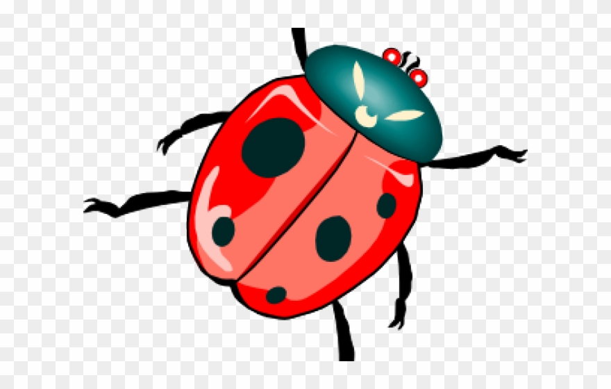 Clip Art Beetles - Png Download