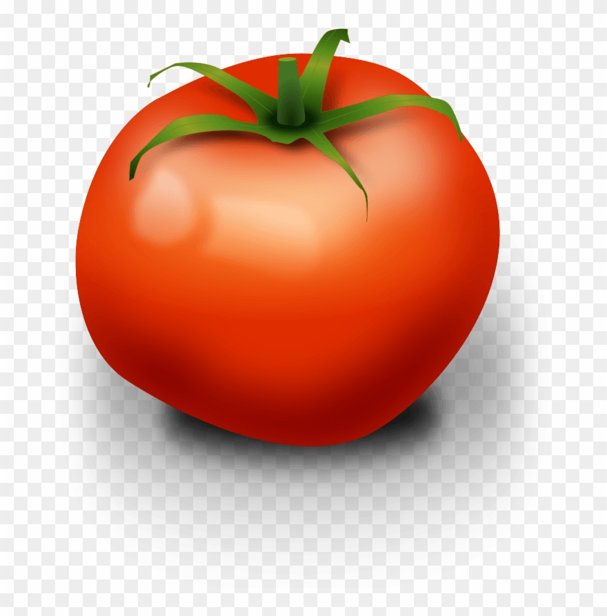 Squash Clipart Vegetable - Ripe Tomato Clip Art - Png Download