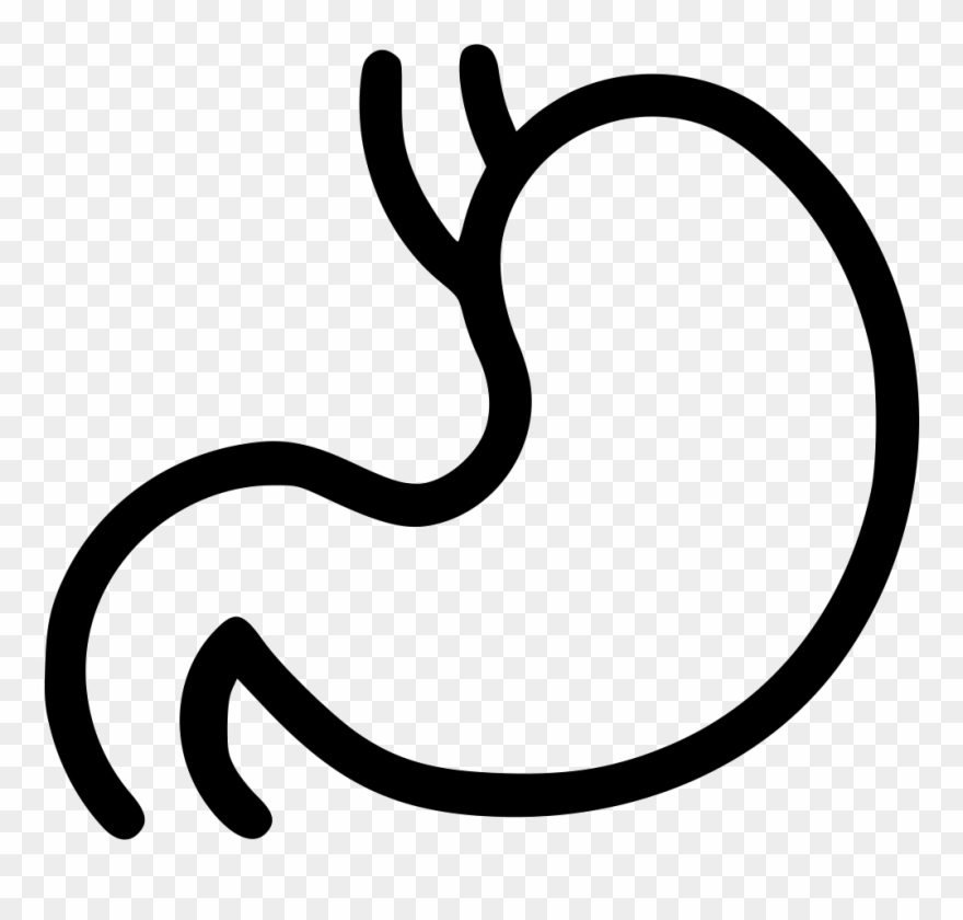 Vector Free Download Digestion Getroenterology Organ - Digestion Png Clipart