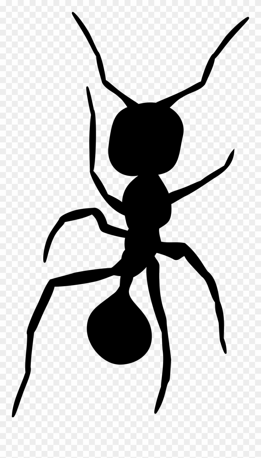 Ant Silhouette 2 By Tulvur - Ant Drawing Clipart
