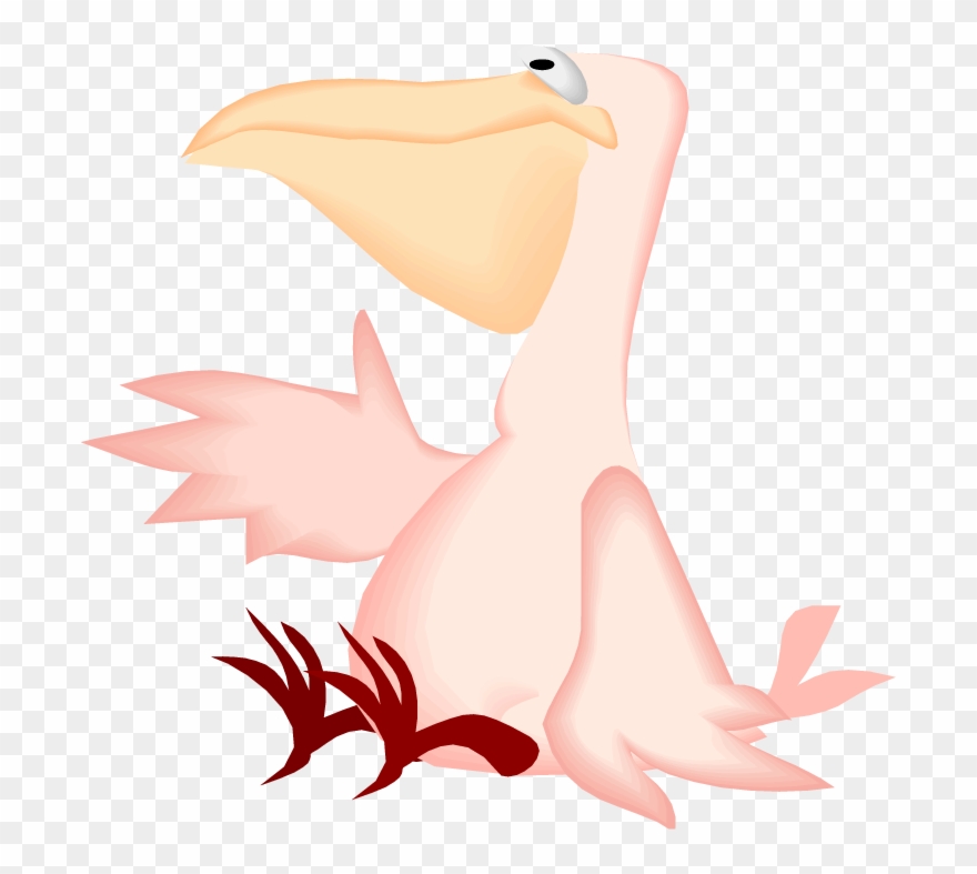 Pelican Clipart - Illustration - Png Download