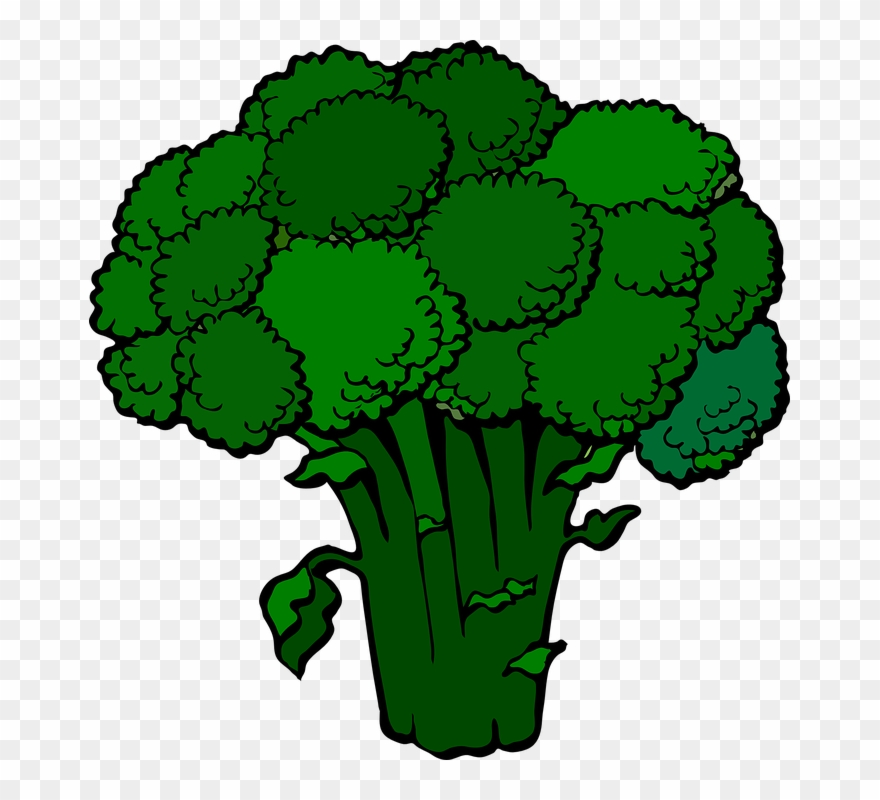 Download - Broccoli Clip Art - Png Download
