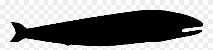 All Photo Png Clipart - Clip Art Transparent Png