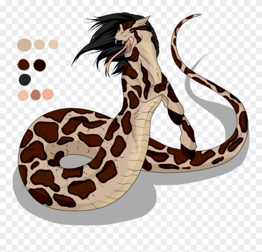 Python Clipart - Easy To Draw Burmese Python - Png Download