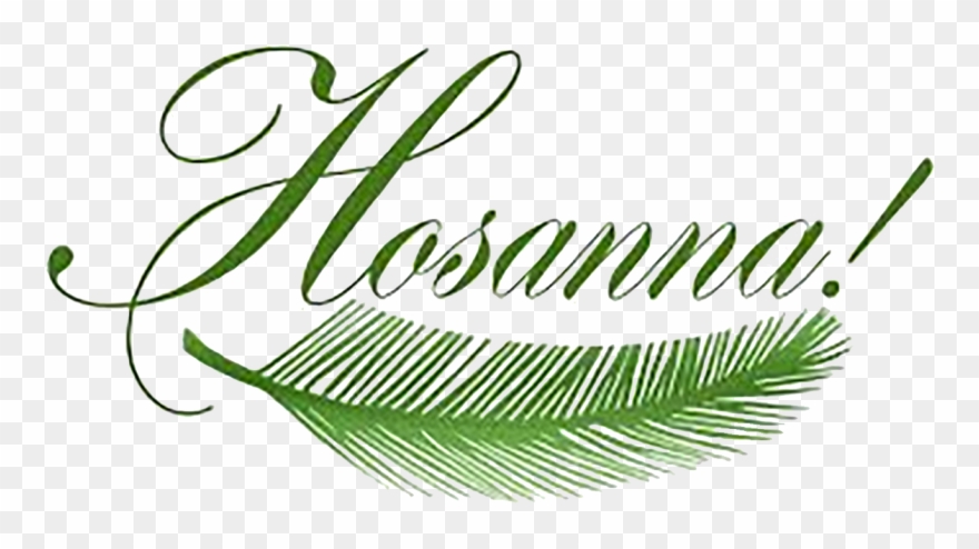 Pretty Design Clipart Palm Sunday By Sister Rose Ann - Palm Sunday - Png Download
