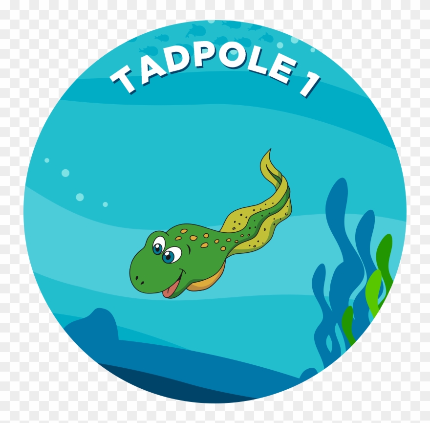 Tadpole Clipart Foot - Pokémon Mystery Dungeon: Blue Rescue Team And Red Rescue - Png Download
