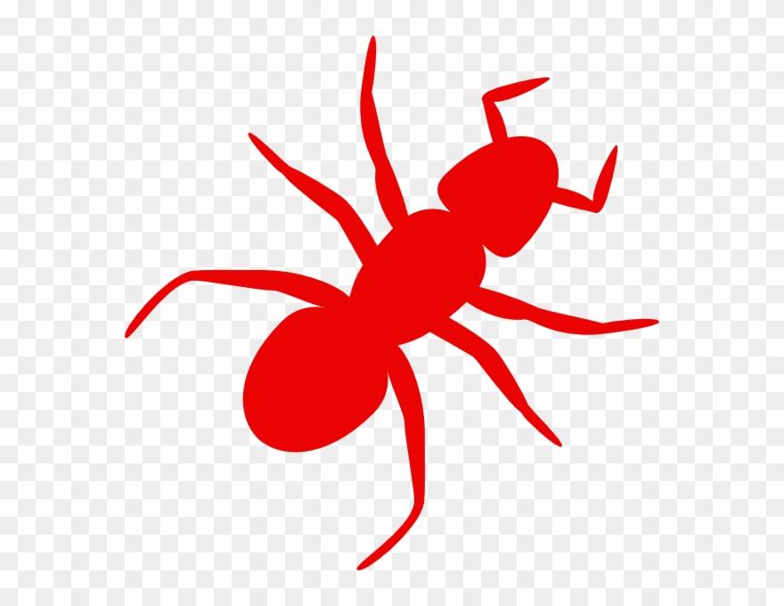 Ant Clip Art - Png Download
