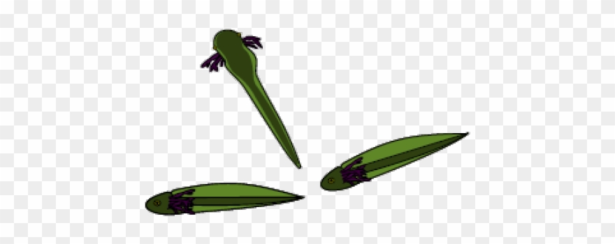 Tadpole Clipart Leg Clipart - Illustration - Png Download