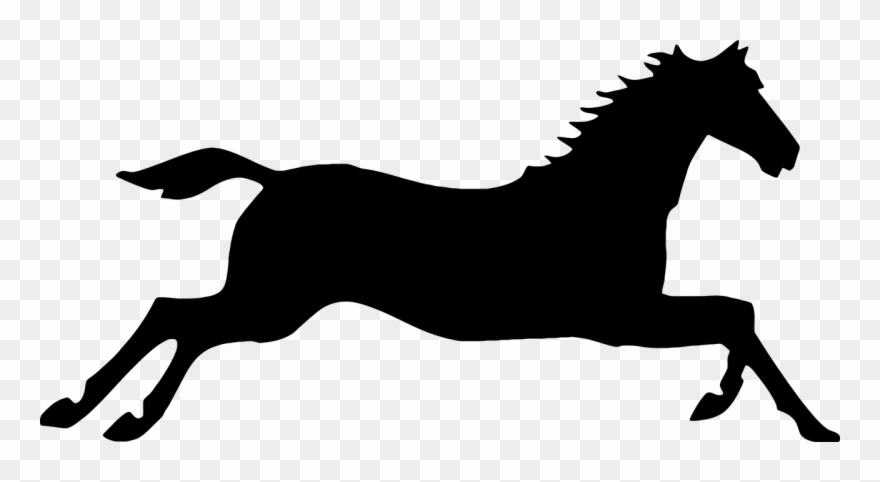 Clip Art Royalty Free Stock Arabian Horse Clipart - Galloping Horse Silhouette - Png Download