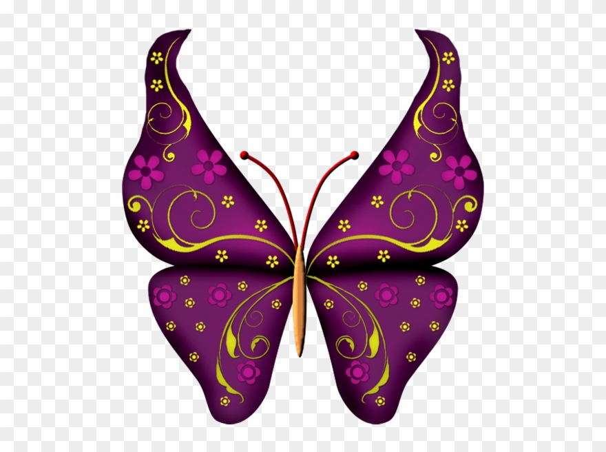 Фото, Автор I - Violet Butterfly Cartoons Clipart