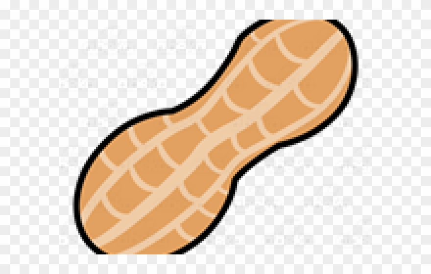 Huge Freebie Download For Powerpoint Nut - Peanut Clipart Transparent Background - Png Download