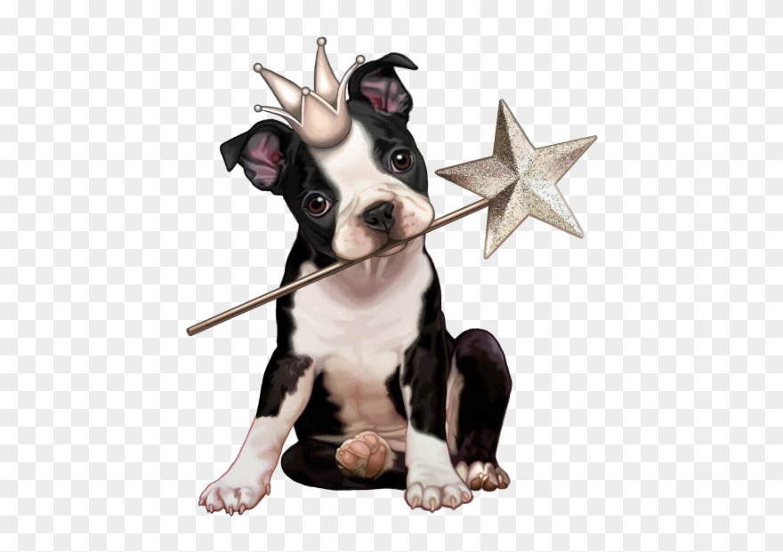 Мобильный Liveinternet Perritos Mc Clipart - Collier Pendentif Chien De Princesse Personnalisé Avec - Png Download
