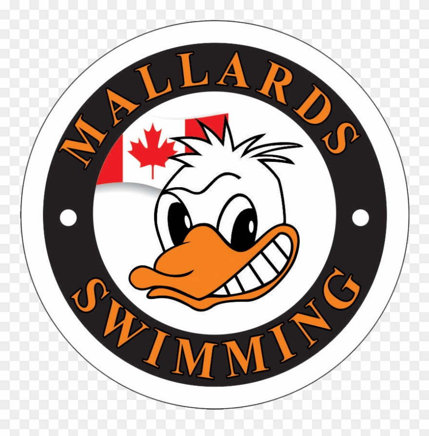 Mallards Swimming Team In Markham - Kluane National Park Clipart