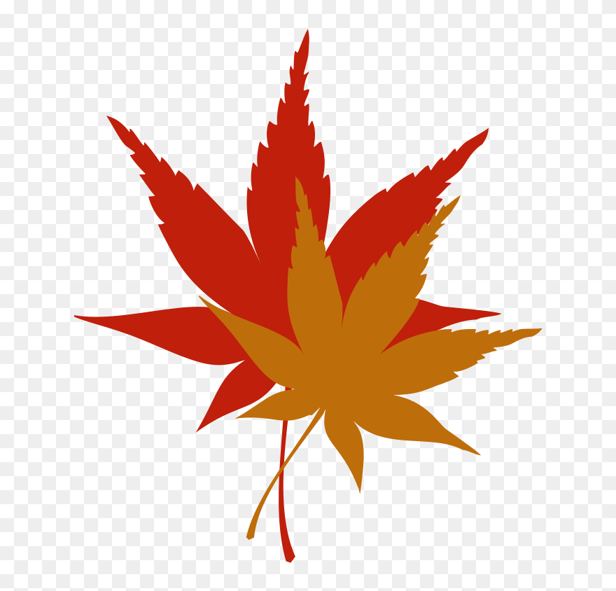Japanese Maple Leaf Free Clip - Spiky Red Speech Bubble - Png Download