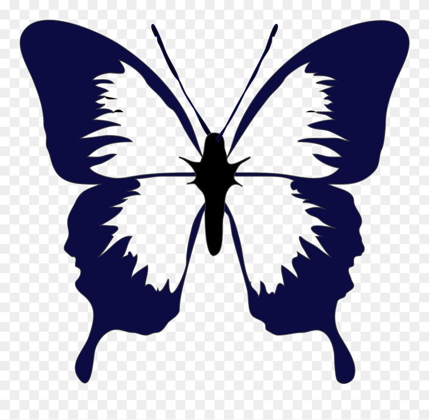 Gambar Kupu Kupu Cantik Clipart