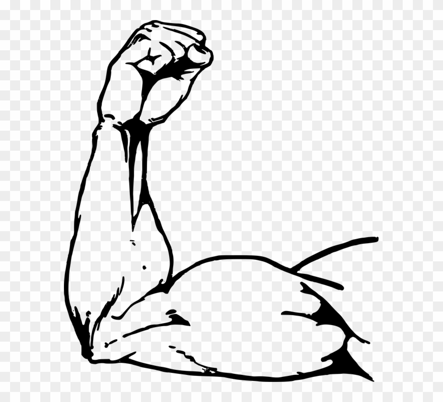 Basketball Cliparts Quotes 26, Buy Clip Art - Muscle Arm Drawing - Png Download