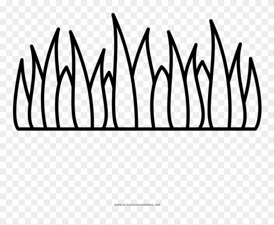 Grama Desenho Para Colorir - Erba Disegno Da Colorare Clipart