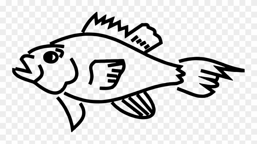 Kooziez Studio - - Parrotfish Clipart Black And White - Png Download