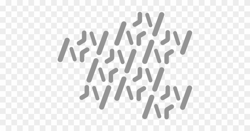 Seattle Chess Set - Calligraphy Clipart