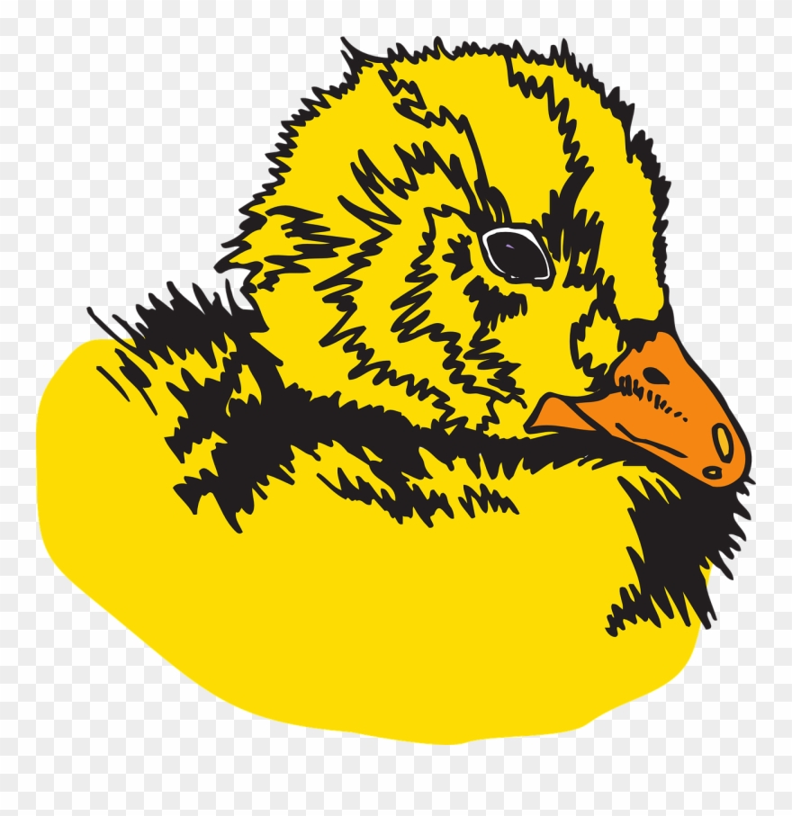 Duckling Svg Clip Arts 600 X 592 Px - Png Download