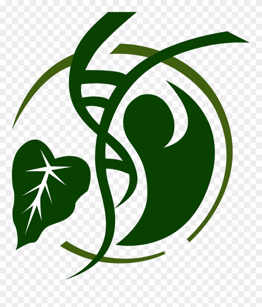 Apitmid Logo - Transparent Background - Health Logos Without Background Clipart