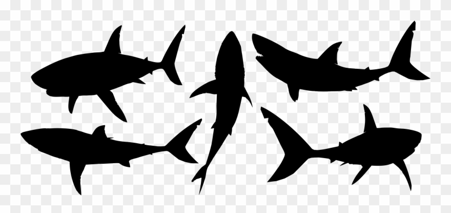 Big Image - Great White Shark Silhouette Clipart