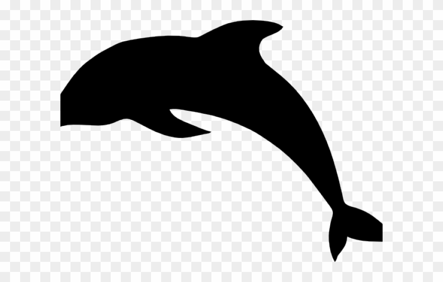 Spinner Dolphin Clipart Cute - Clip Art - Png Download